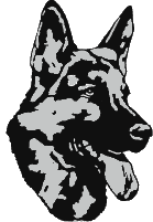 schaeferhund-kopf-03[1]